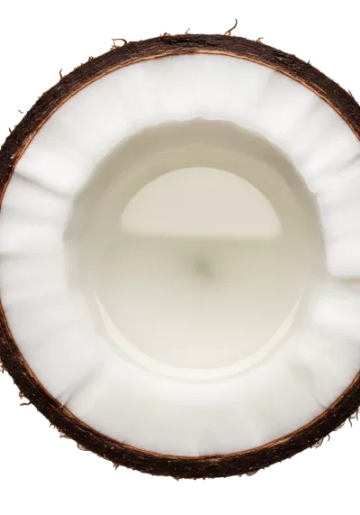 Imagen PNG para descargar